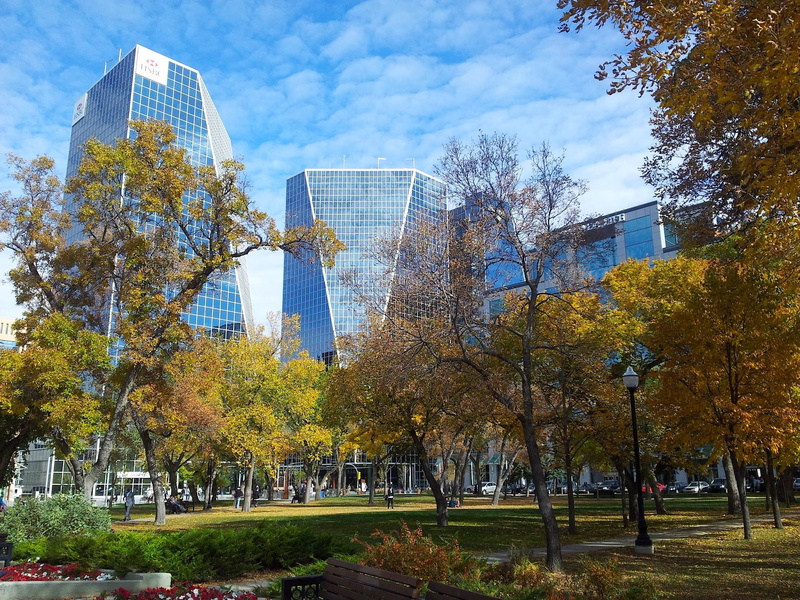 grass, fall, outdoors, nature, financial district, trees, clear, 1080P, day, park - man made space, cityscape, buildings, city, modern, building exterior