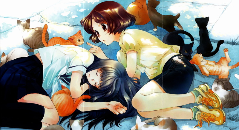 Misora Haruki, Anime, Seika Nonoo, Sakurada Reset, 1080P