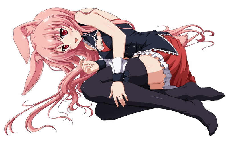 blush, desu, red, anime, sou, long, girls, kara, 1080P, miniskirts, background, mondaiji tachi, pink, eyes, isekai, ears, hair, white, kuru, kurousagi