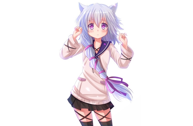 kazenokaze, purple, animal, catgirl, 2K, eyes, blush, ears, midori, bullet, black, fuse