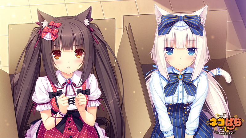 boxes, disguise, front view, innocence, sayori, celebration, childhood, art and craft, nekopara, people, creativity, indoors, neko, costume, halloween