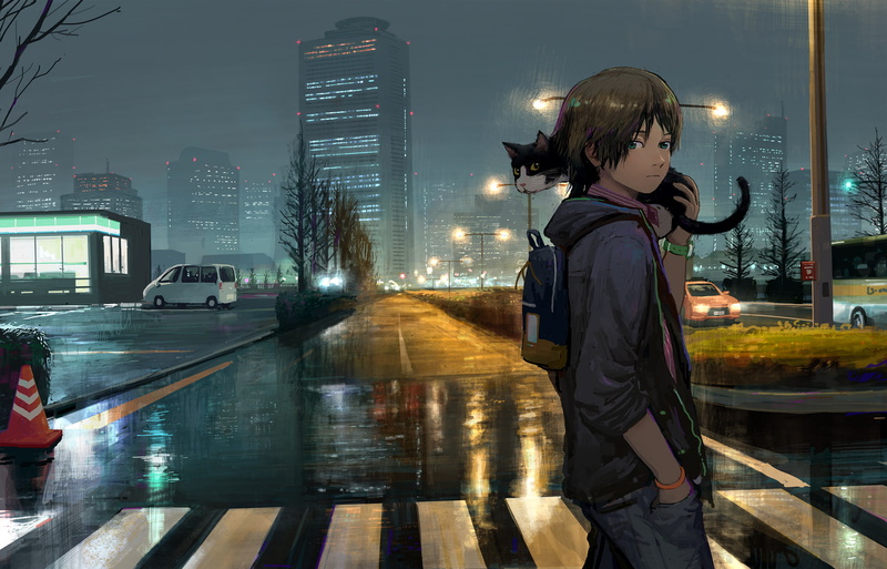 grass, green, eyes, 720P, car, short, hair, rain, com, wristwear, male, konachan, original, scenic, 261020, water, city, all, brown, (tomiya2117), night