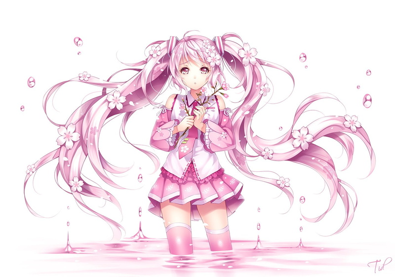 720P, Sakura Miku, anime girls