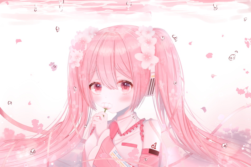 4K, Anime, Sakura Miku, Vocaloid