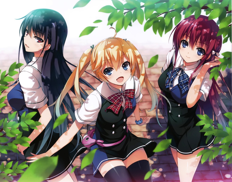 2K, grisaia series