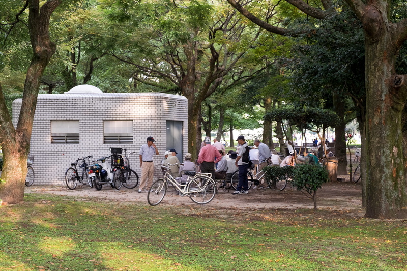 man, sport, machine, nature, wheel, tree trunk, building exterior, human, tree, cyclist, hiroshima, trunk, japan, wisdom, built structure, land vehicle