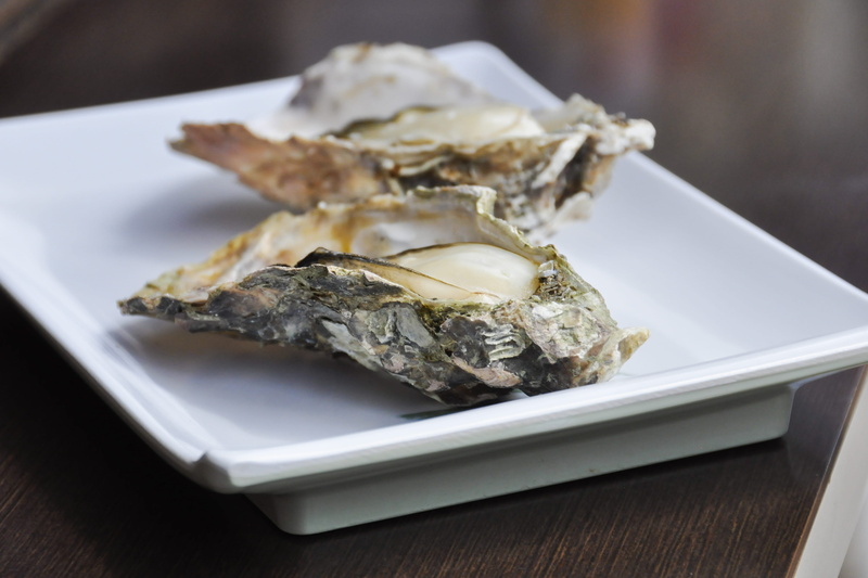 animal, oysters, tray, dinner, snack, seafood, table, plate, food and drink, freshness, japan, fish, temptation, high angle view, no people, still life