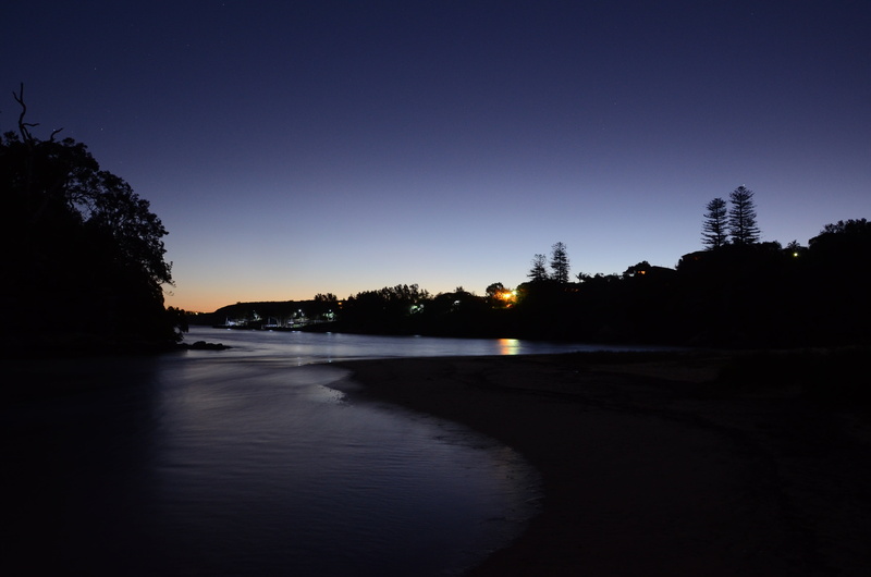 silhouette, plant, tree, 4K, forest, tranquility, reflection, sky, sunset, night, walking, lake, land, north, dark, head, no people, blue, beach, collins