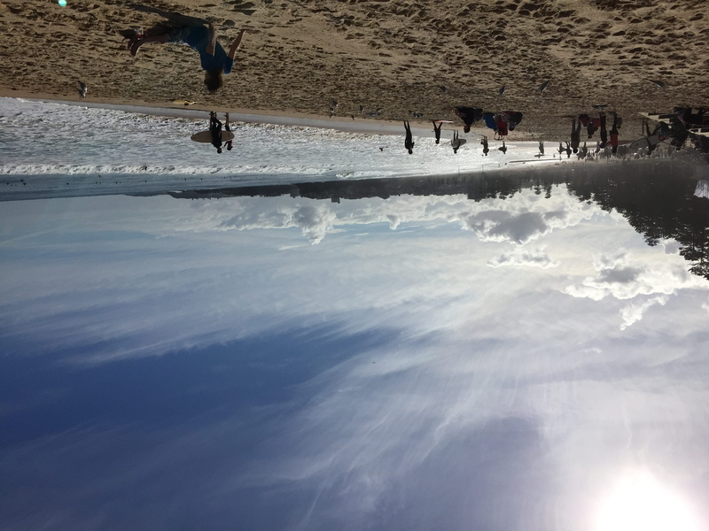 water, lifestyles, men, sea, sydney, leisure activity, land, day, cloud - sky, sky, manly beach, 2K, nature, trip, large group of people, surf, real people