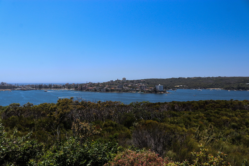 ocean, plant, promontory, non-urban scene, day, tranquility, sea, nature, copy space, beauty in nature, clear sky, landscape, outdoors, the spit to manly walk