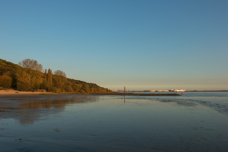 sand, port, port city, plant, water, sea, hanseatic, transportation, sand beach, beauty in nature, copy space, land, elbe, lights, landscape, port of hamburg