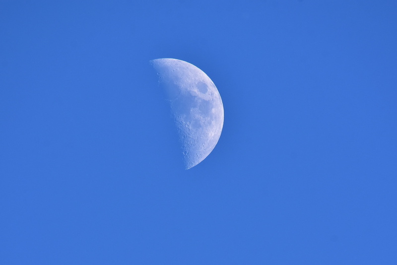 romantic, blue, nature, beauty in nature, blue background, tranquil scene, half moon, silent, no people, outdoors, mood, astrology, planetary moon, atmosphere