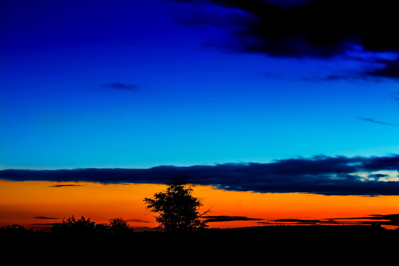 land, scenics - nature, silent, dark clouds, dusk, landscape, blue, incipient night, no people, hour, setting sun, day farewell, tranquility, plant, environment