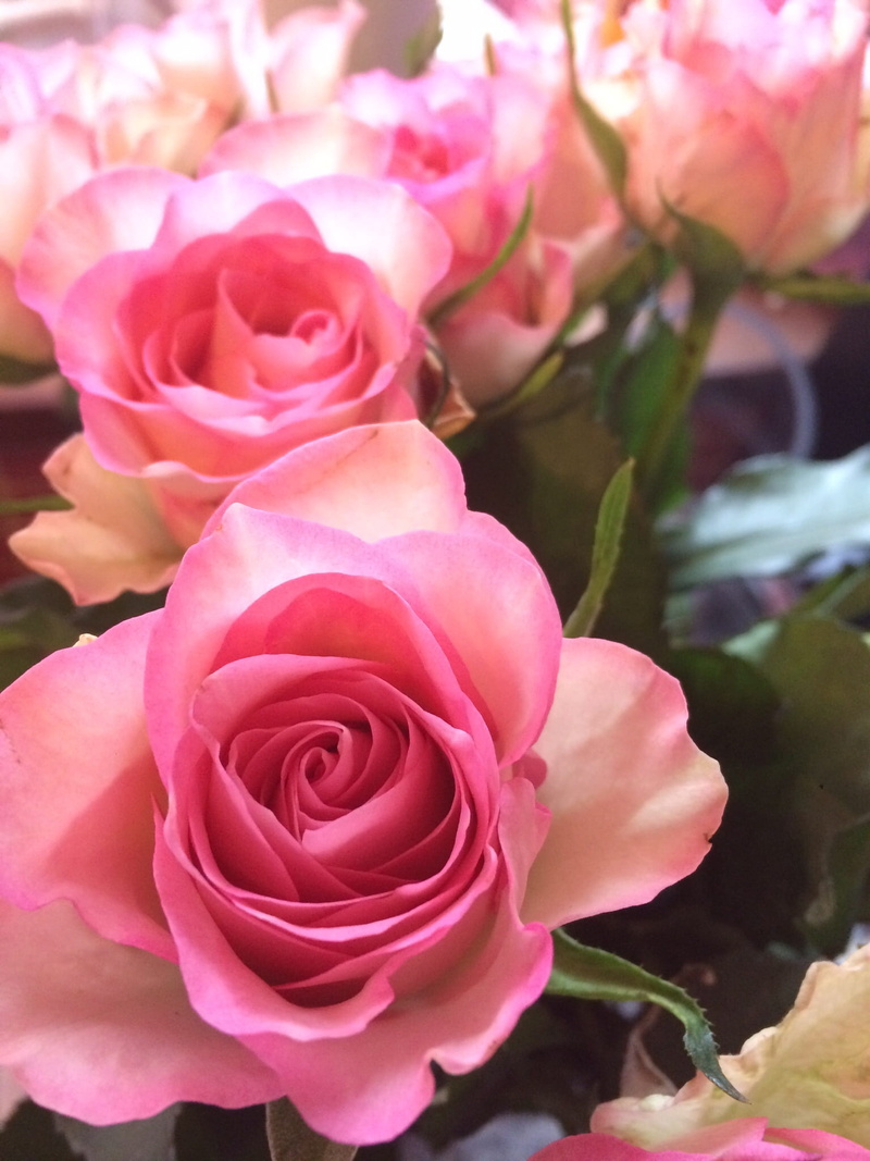 outdoors, fl, pink color, vulnerability, wedding, floral, growth, roses, bouquet, nature, plant, summer, rose, no people, valentine, flower head, focus on foreground