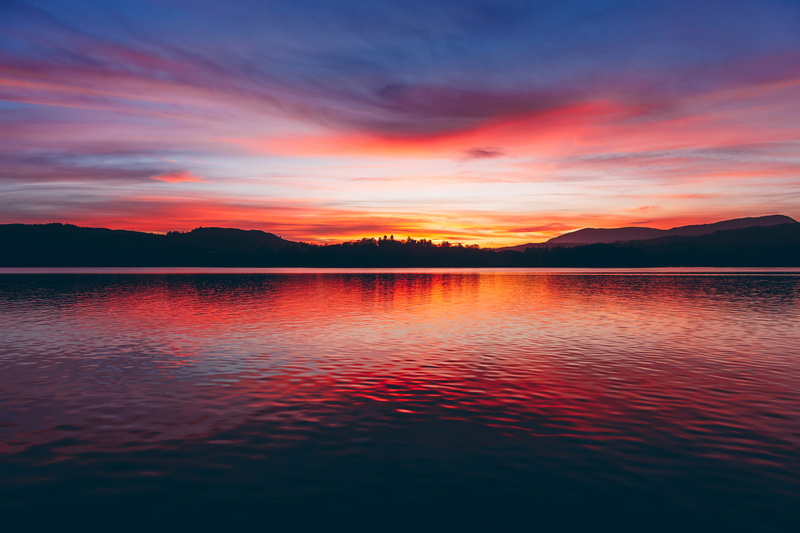 tree, nature, sky, red, lake, orange color, cloud - sky, body, united kingdom, minimal, waterfront, red sky, landscape, idyllic, remote, non-urban scene