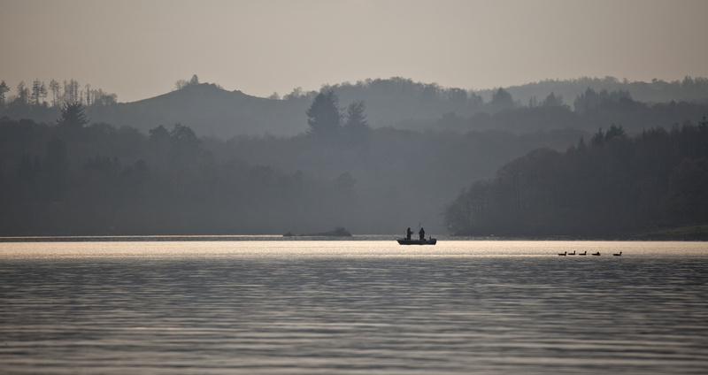 tree, nautical vessel, scenics - nature, landscape, plant, lake, cumbria, fog, water, lake district, mountain, environment, transportation, beauty in nature
