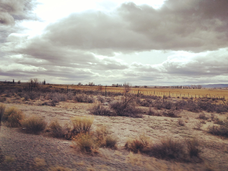 landscape, sky, scenics - nature, tranquility, nature, 2K, field, united states, grass, growth, beauty in nature, northern california, plant, land, day