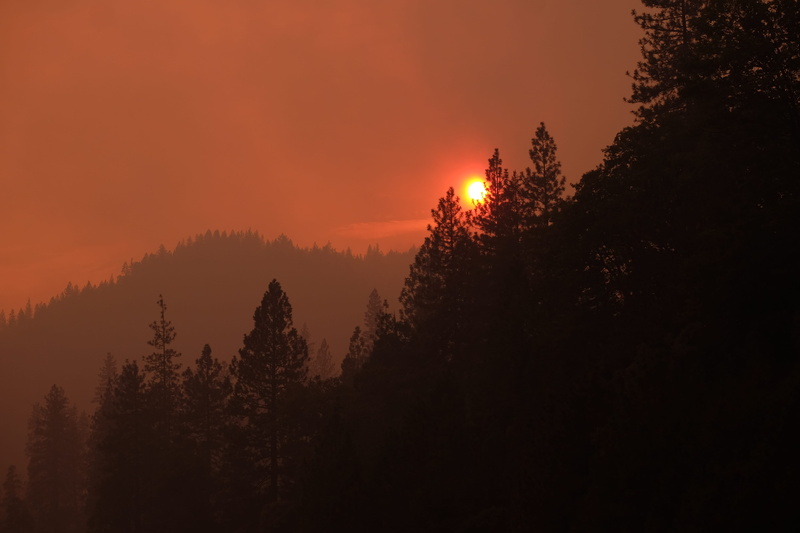 flare, silhouette, dusk, 4K, tranquility, beauty in nature, land, red sky, forest, abies, growth, dawn, northern california forest fire, scenics - nature