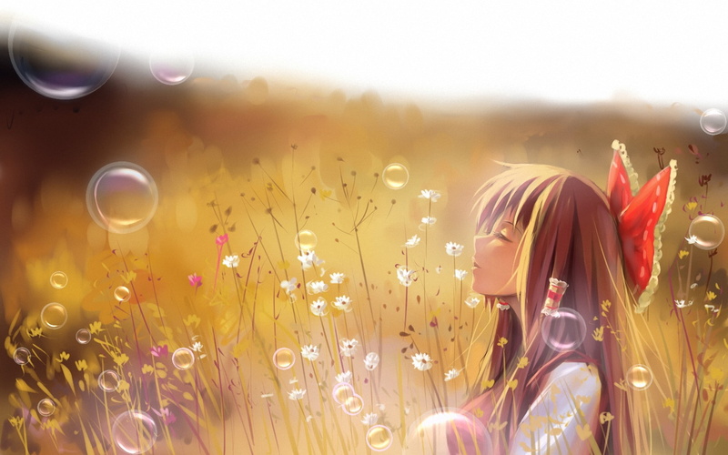 bubbles, reimu, touhou, female, a luo, field, anime, grass, art, 1080P, hakurei reimu, Profile, hakurei