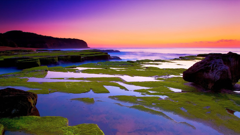 horizon, cliff, travel, vacations, sunrise - Dawn, no People, moss, purple, sand, mountain, beauty In Nature, island, tranquility, rock - Object, waters Edge