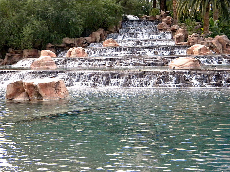 wet, mammal, rock - object, waterfront, nature, no people, sun, spray, design, city, drop, environment, architecture, garden, Water, 2K, motion, river