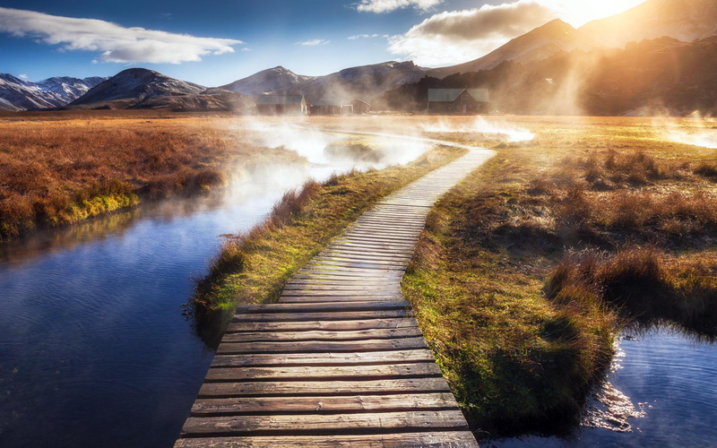 wooden, 1080P, brown, path, pathway