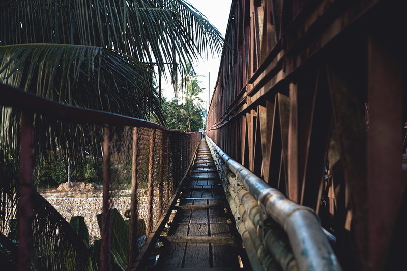 the way forward, southeast asium, vanishing point, trees, no people, railing, 5K, plant, walkway, outdoors, tree, fence, building, near, pipe, palm tree