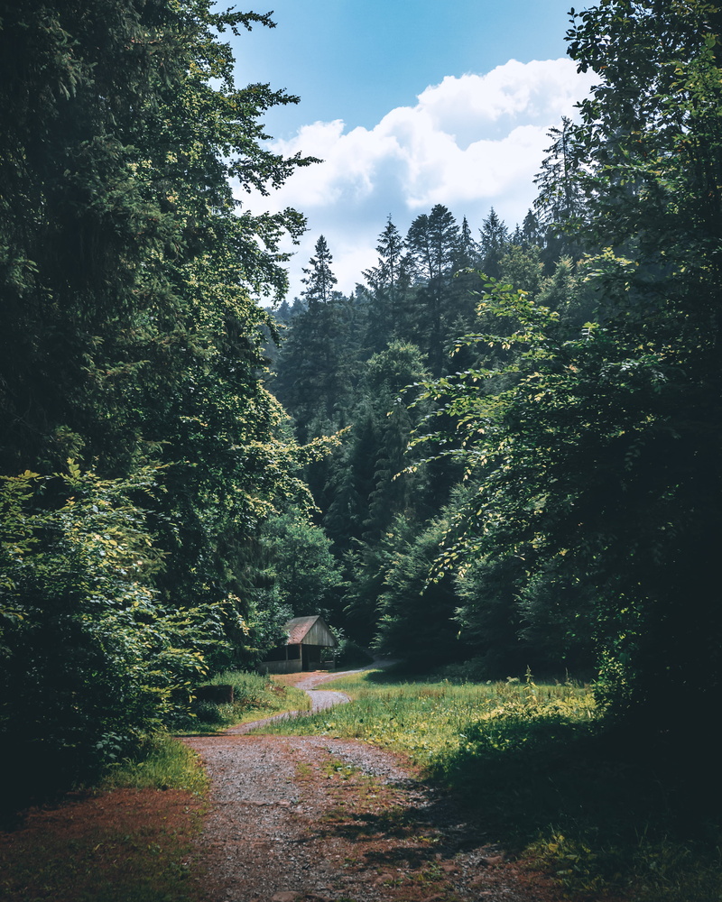trek, cabin, tranquil scene, environment, adventure, beauty in nature, bad liebenzell, flora, non-urban scene, house, 4K, tree, brown, wooden, no people