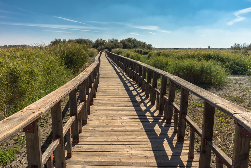 direction, cloudy, dock, rustic, sky, land, follow, forest, soledad, sunlight, wood - material, no people, outdoors, historical, wood paneling, plant, landscape