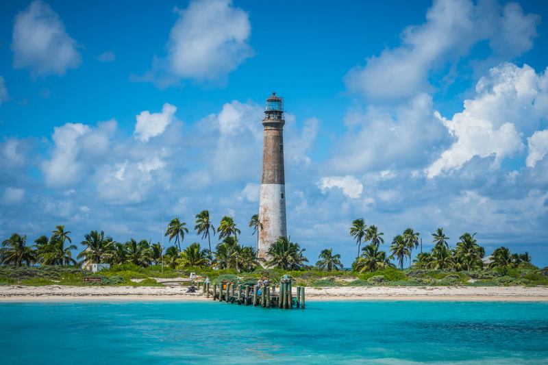 travel, island, coconut palm tree, cloud - sky, tropical climate, love, gray, sand, near, plant, ocean, girl, tower, palm tree, beach, scenics - nature