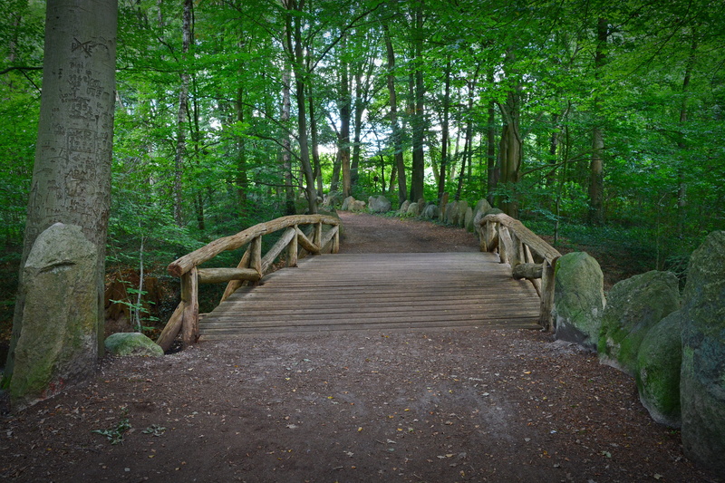 tranquility, Forest, scenic, footpath, bamboo - plant, outdoors, trees, the way forward, wooden, tree, non-urban scene, wooden bridge, beauty in nature