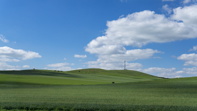 tranquility, scenics - nature, idyllic, scenery, rural scene, rolling landscape, agriculture, landscape, blue sky, travel, field, inner mongolia, nature