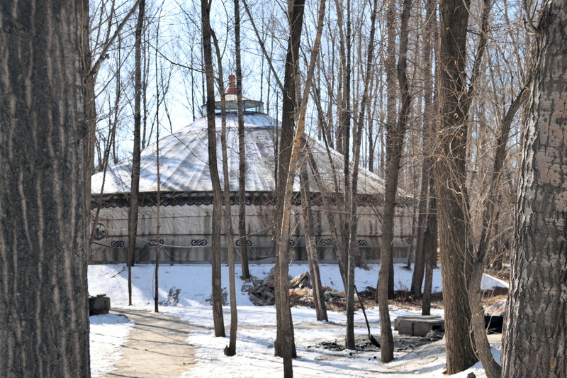 built structure, inner mongolia, landscape, covering, outdoors, wood - material, winter, tranquility, season, nature, scenic, day, 5K, bare tree, beauty in nature