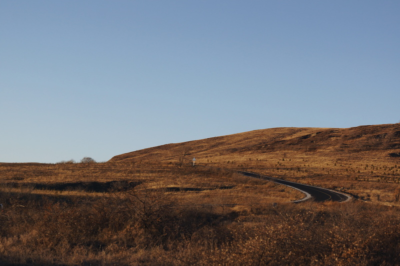 sky, scenics - nature, blue, 5K, copy space, animal, china, plant, mound, non-urban scene, remote, climate, savanna, tranquility, plateau, no people, offroad