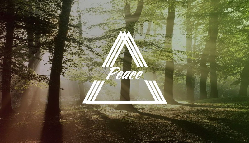 growth, woodland, tree, green color, 720P, no people, land, outdoors, trunk, hanging, communication, peace, sign, nature, text, sunlight, trees, triangle
