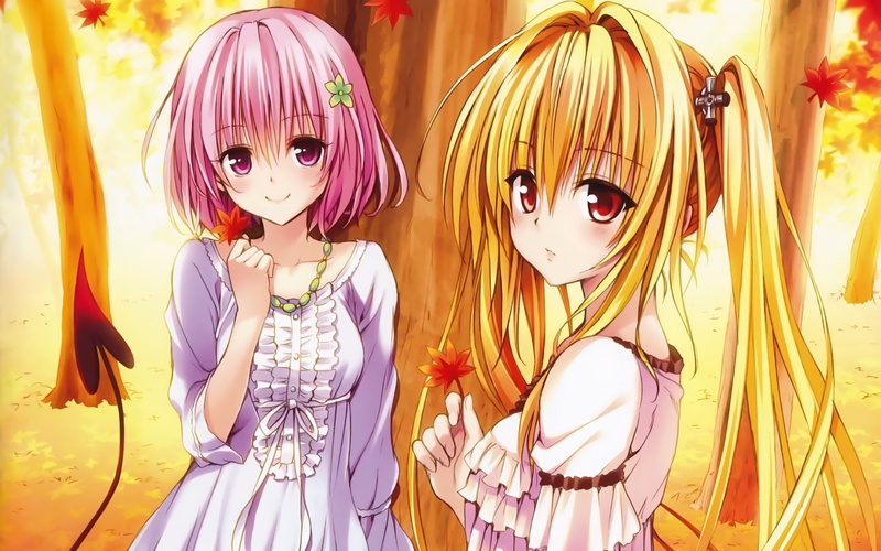 celebration, 1080P, representation, girls, people, human representation, child, Anime, To Love-Ru, day, costume, hairstyle, females, innocence, Momo Velia Deviluke