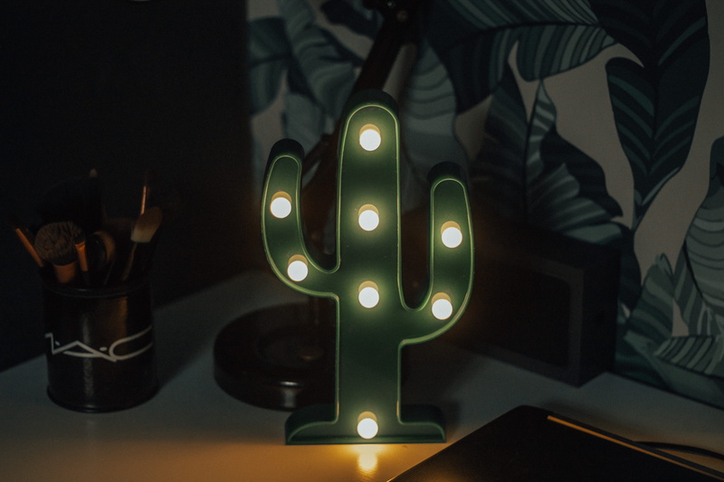 lighting equipment, footwear, cactus, shoe, technology, brushes, interior design, foz do iguaçu, communication, lamp, night, light, sink, desk, focus on foreground