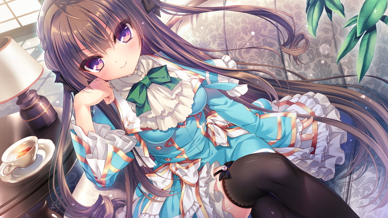 Boukyaku Shitsuji to Koi Suru Ojou-sama no Memoir, Anime, 1080P