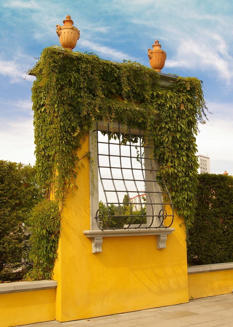 built structure, grid, leaves, sky, cloud - sky, gardens of the world, front or back yard, renaissance, wine leaf, iron, italian, ornament, green hedge