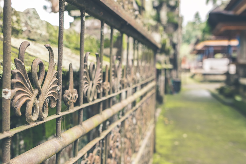 focus on foreground, wall, iron, transportation, detail, plant, metal, garden, texture, background, mode of transportation, design, aged, brown, decoration