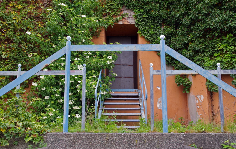 railing, gradually, orange color, stairs, emergence, green color, building, building exterior, steps and staircases, no people, old, architecture, plant