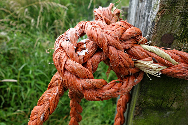 knot, green color, day, orange, close-up, rope, tied Knot, twisted, strength, tangled, gate, focus on foreground, security, string, 4K, brown, nature