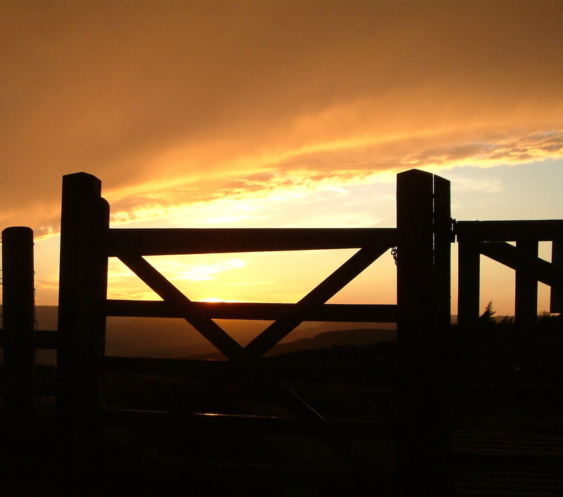 Golden, bridge - man made structure, Landscape, no people, dramatic sky, protection, idyllic, nature, gold, architecture, sun, barrier, Sunset, built structure