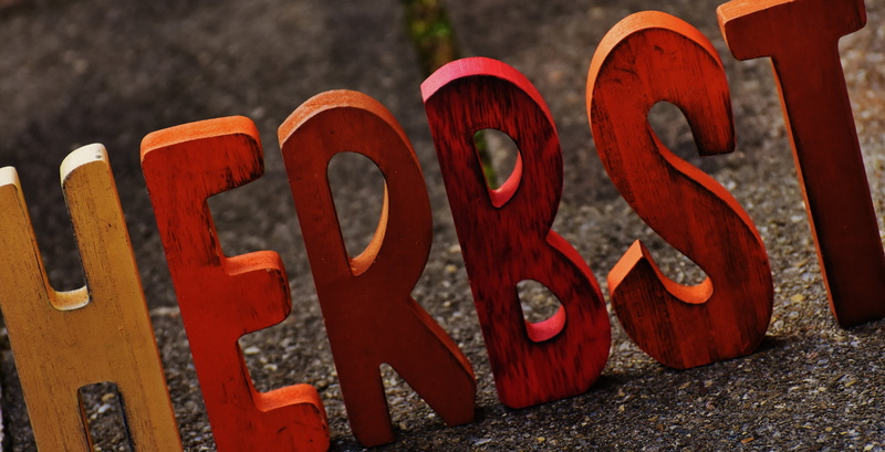 panoramic, sign, gate, luck, lettering, religion, 5K, autumn, letters, architecture, red, focus on foreground, orange color, outdoors, multi colored, word