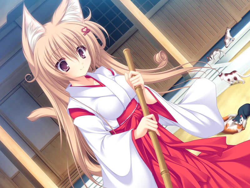 japanese, catgirl, cat, miko, neko, ears, koi, clothes, 720P, animal