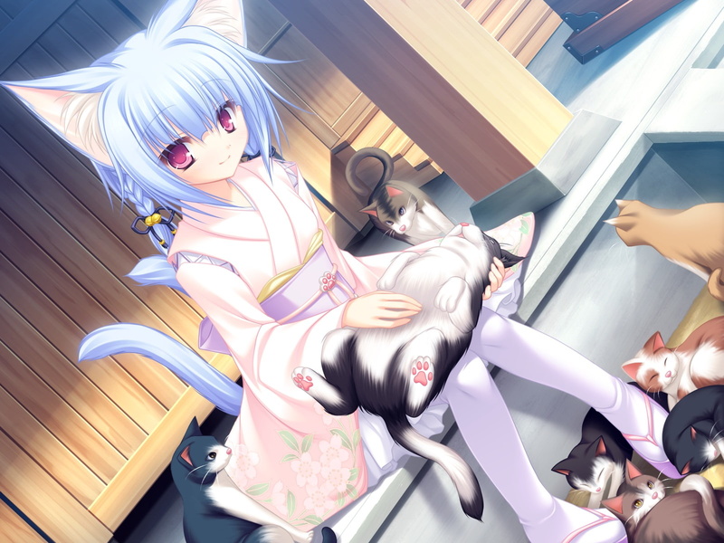 720P, ears, japanese, tails, clothes, catgirl, cat, hina, multiple, kiryuu, koi, neko, animal, tail