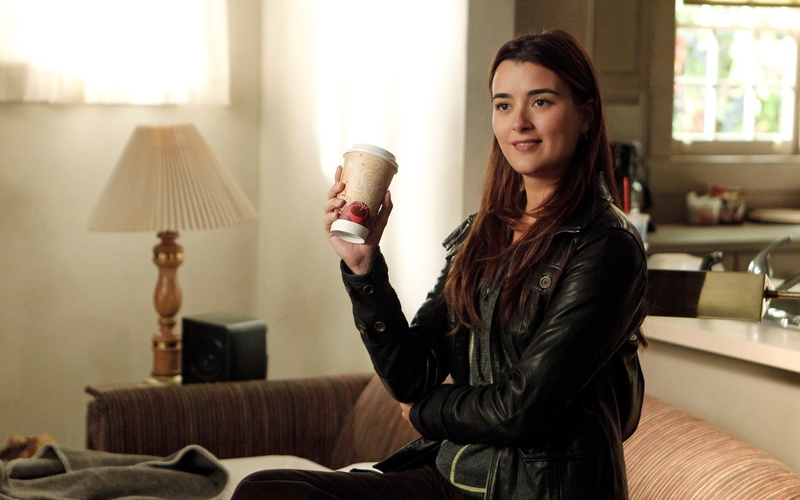 TV Show, NCIS, Cote De Pablo, Ziva David, 1080P