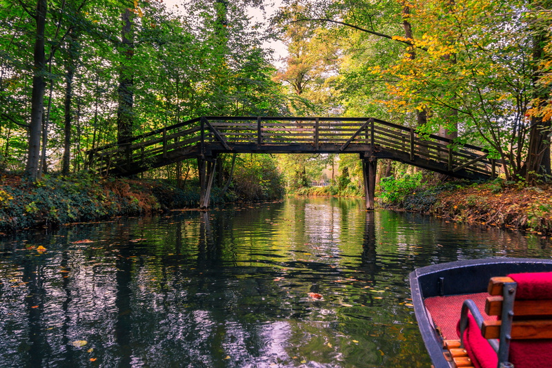 tree, outdoors, channels, trees, tourism, reflection, forest, connection, land, bridge - man made structure, spree, spreewald, transportation, landscape