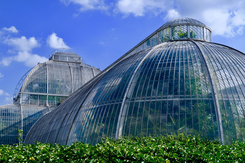 growth, building, plant nursery, conservation, glass - material, gardens, plants, cloud - sky, built structure, glass, modern, 4K, day, nature, architecture