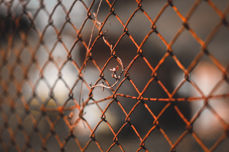 wire, prison, nature, lock, sphere, scoreboard, close-up, safety, locker, full frame, security, fire, outdoors, barrier, barricade, protection, grille